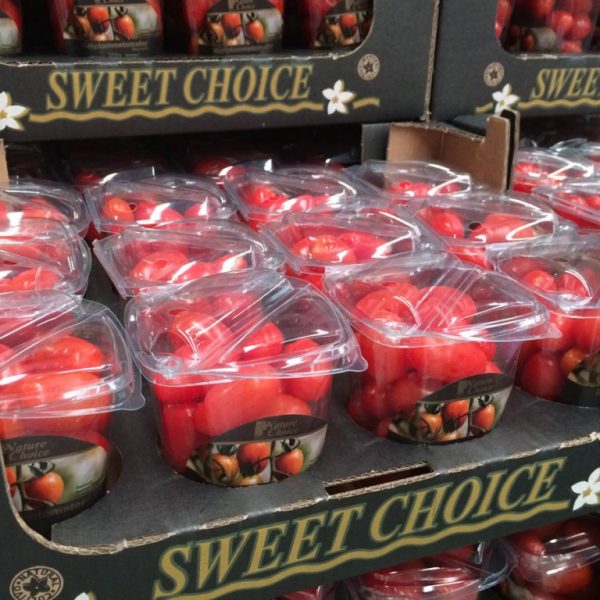 IMG_0344_2-1024x768 IMG_0344_2-1024x768