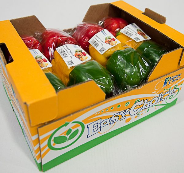 pimiento-tricolor pimiento-tricolor