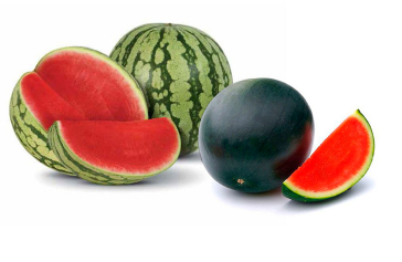 Premium/Mini Watermelon