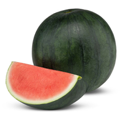 Corinta Seedless Watermelon